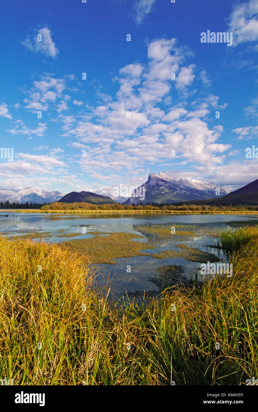 Le mont Rundle s'élevant au-dessus des lacs Vermillion township de ...