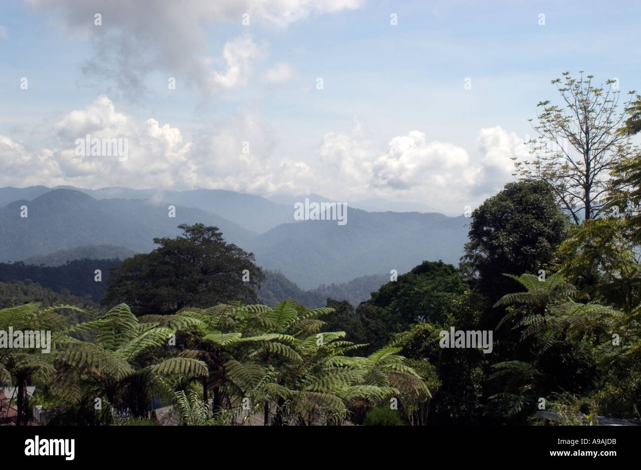 Les montagnes et les jungles de Pahang Banque D'Images