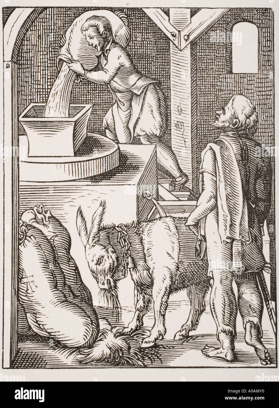 Le Miller. 19e siècle 16e siècle reproduction d'une gravure de Jost Amman Banque D'Images