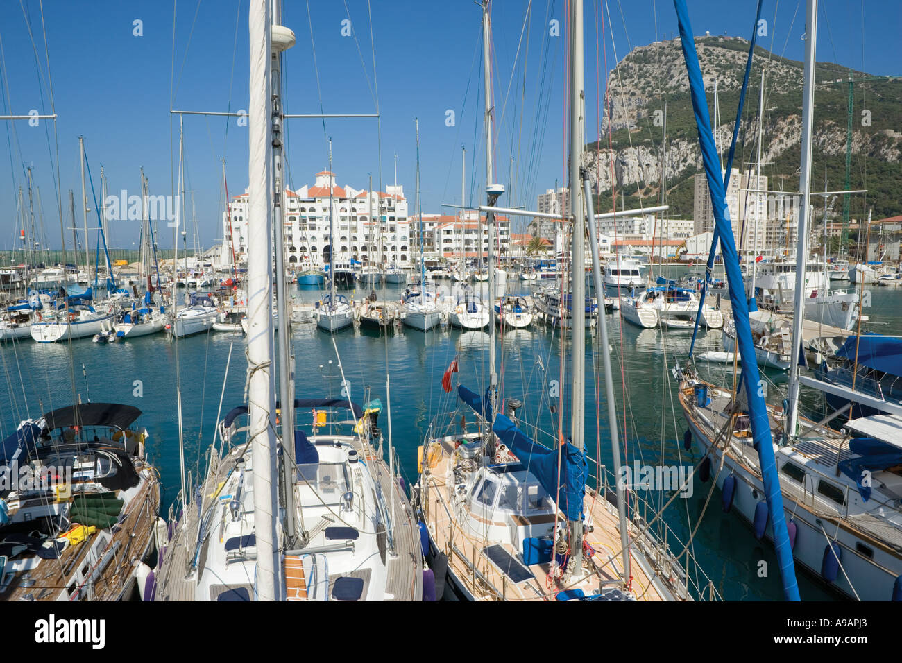 Gibraltar Yachts dans Marina Bay avec la roche en arrière-plan Banque D'Images