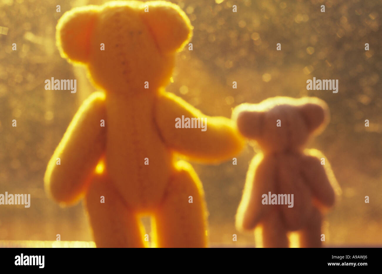 Vue impressionniste de derrière de maman ou papa ours avec un jeune enfant ted debout à une fenêtre à la lumière du soleil d'or Banque D'Images