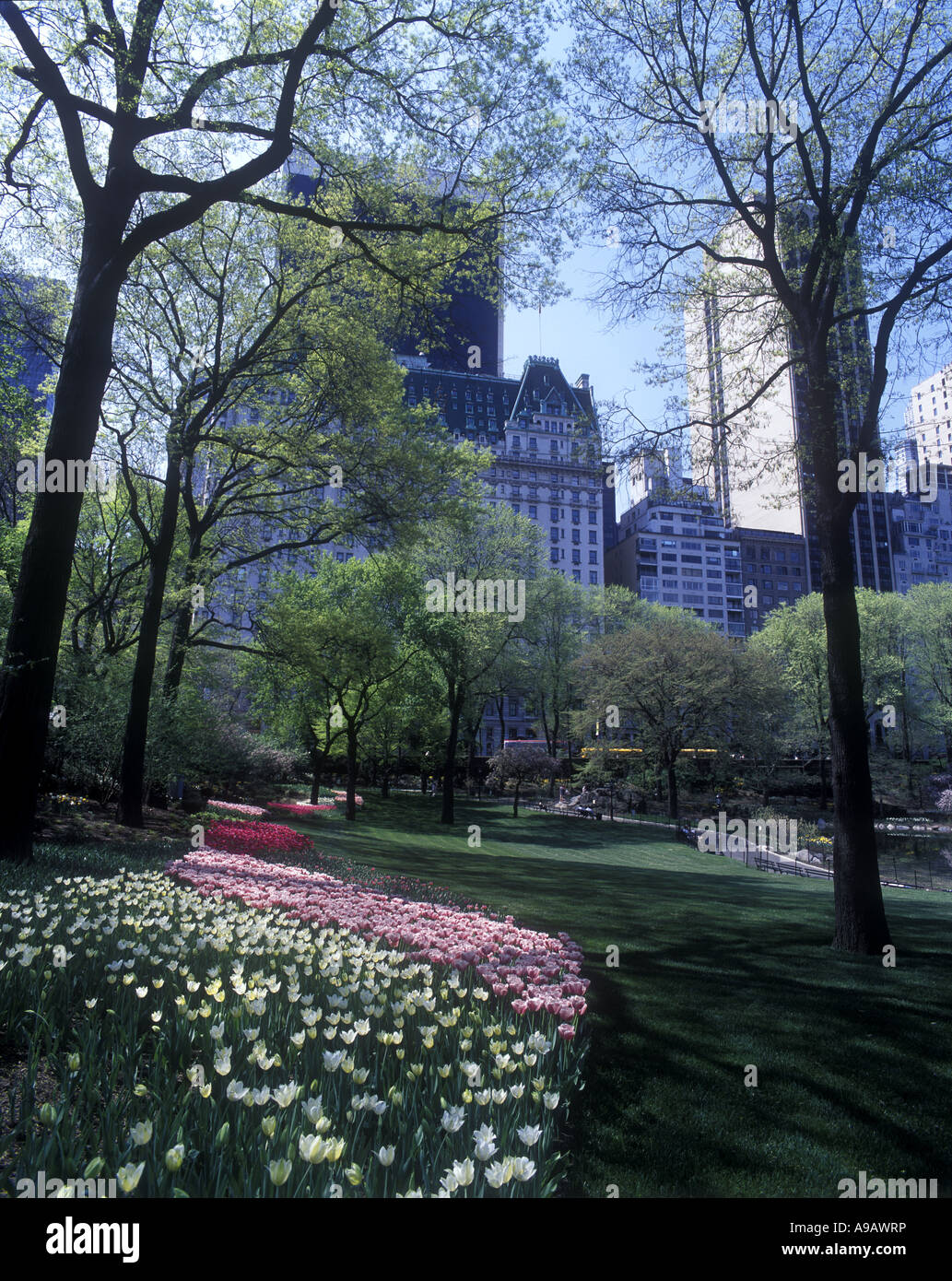 HÔTEL FAIRMONT PLAZA (©HENRY J HARDENBERGH 1907) CENTRAL PARK SOUTH MANHATTAN NEW YORK CITY ÉTATS-UNIS Banque D'Images