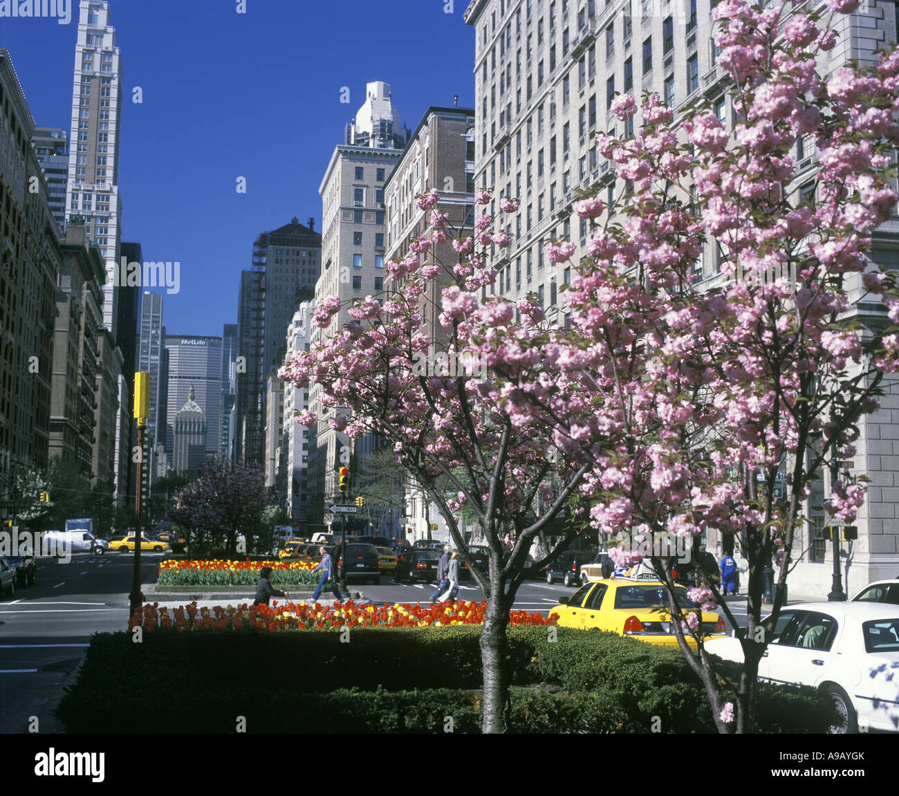 Scène de rue PRINTEMPS PARK AVENUE MANHATTAN NEW YORK USA Banque D'Images