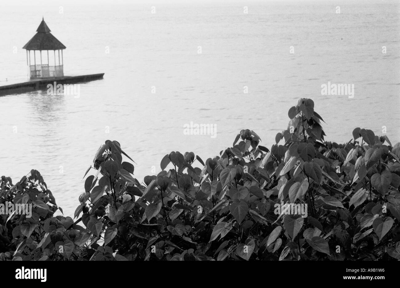 Jetty jamaïcain Banque D'Images