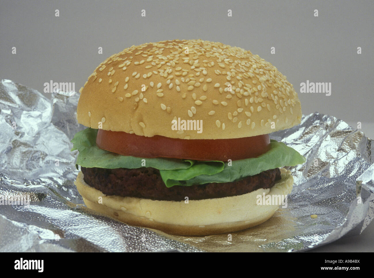 HAMBURGER SUR FOND BLANC Banque D'Images