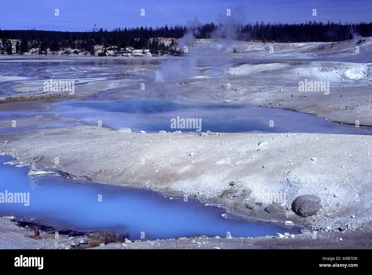 Lavabo EN PORCELAINE PITTORESQUE NORRIS GEYSER BASIN le parc national de Yellowstone au Wyoming USA Banque D'Images