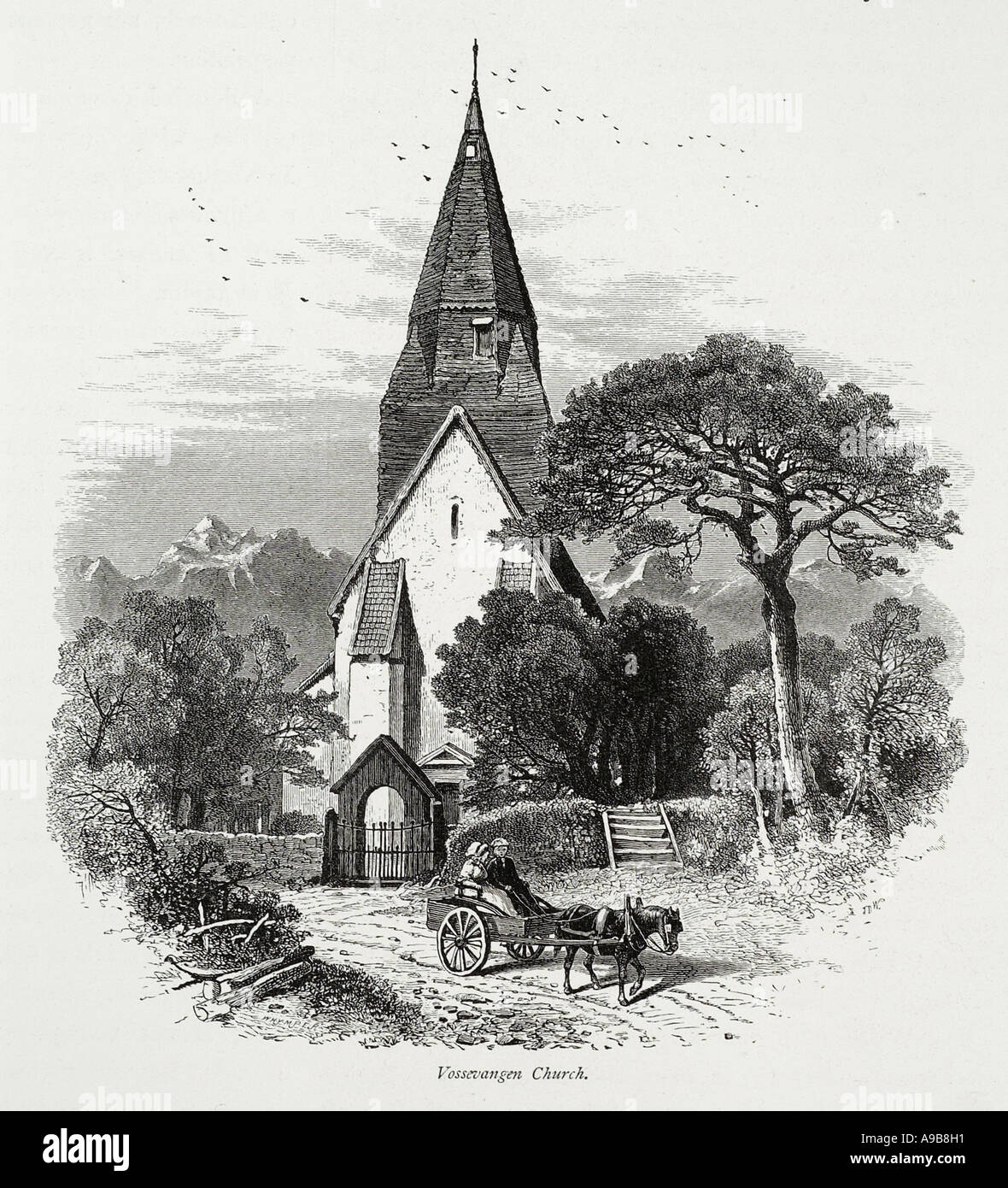 Église vossevangen Norvège Scandinavie nordique norvégien Christian spire panier cheval montagne arbre piège Bergen rural farm Banque D'Images