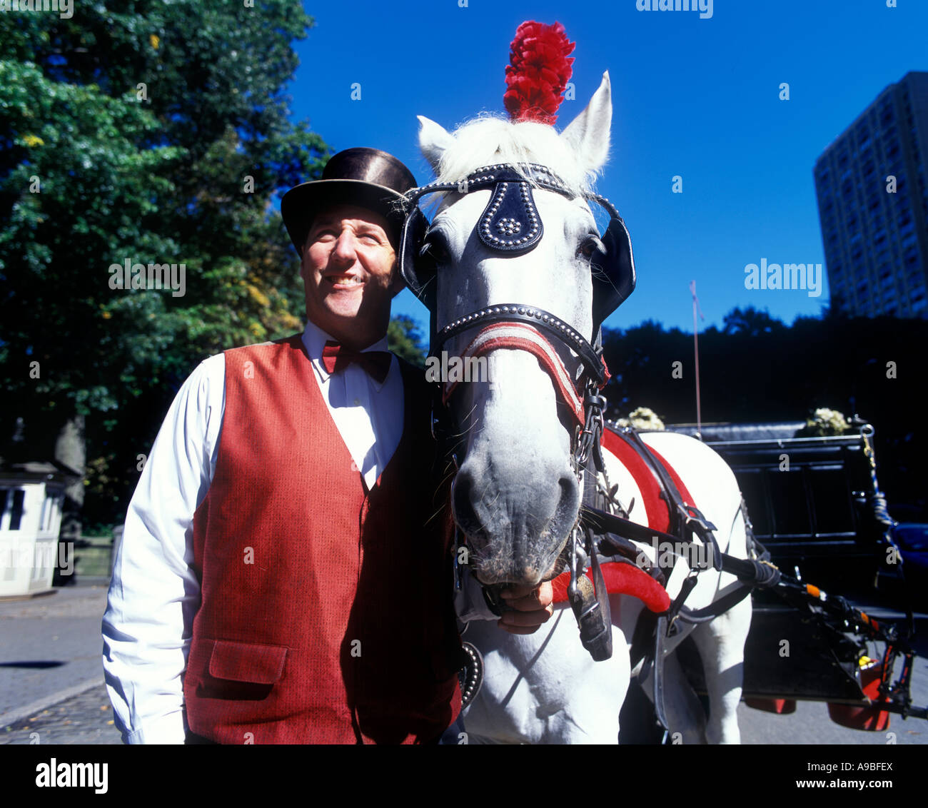 Transport de chevaux CONDUCTEUR CENTRAL PARK SOUTH MANHATTAN NEW YORK USA Banque D'Images