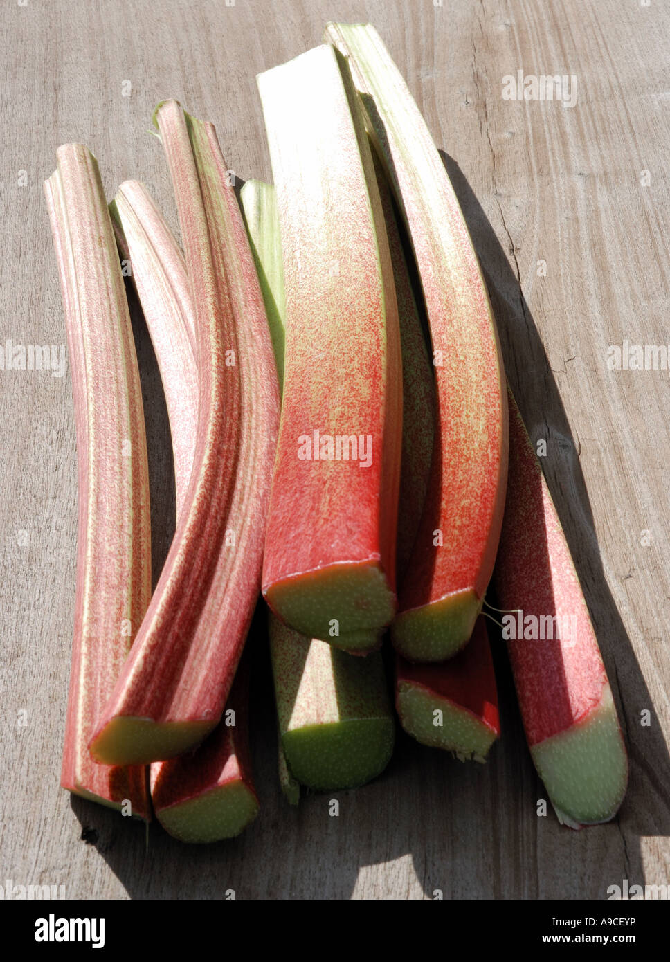 Bâtonnets de rhubarbe Banque D'Images