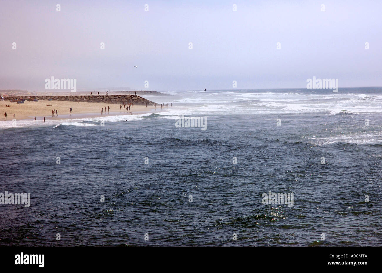 Vue panoramique sur le front de mer et de la plage de Praia da Barra Costa da Prata Beiras Aveiro Portugal Iberia Europe Banque D'Images