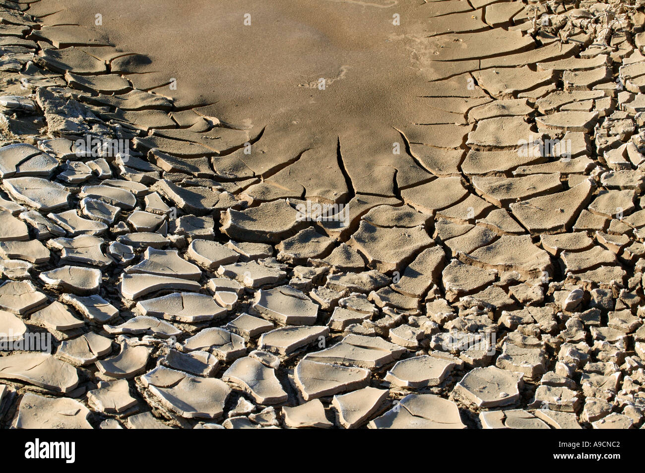 La boue séchée dans l'Amargosa River bed Death Valley National Park Californie Banque D'Images