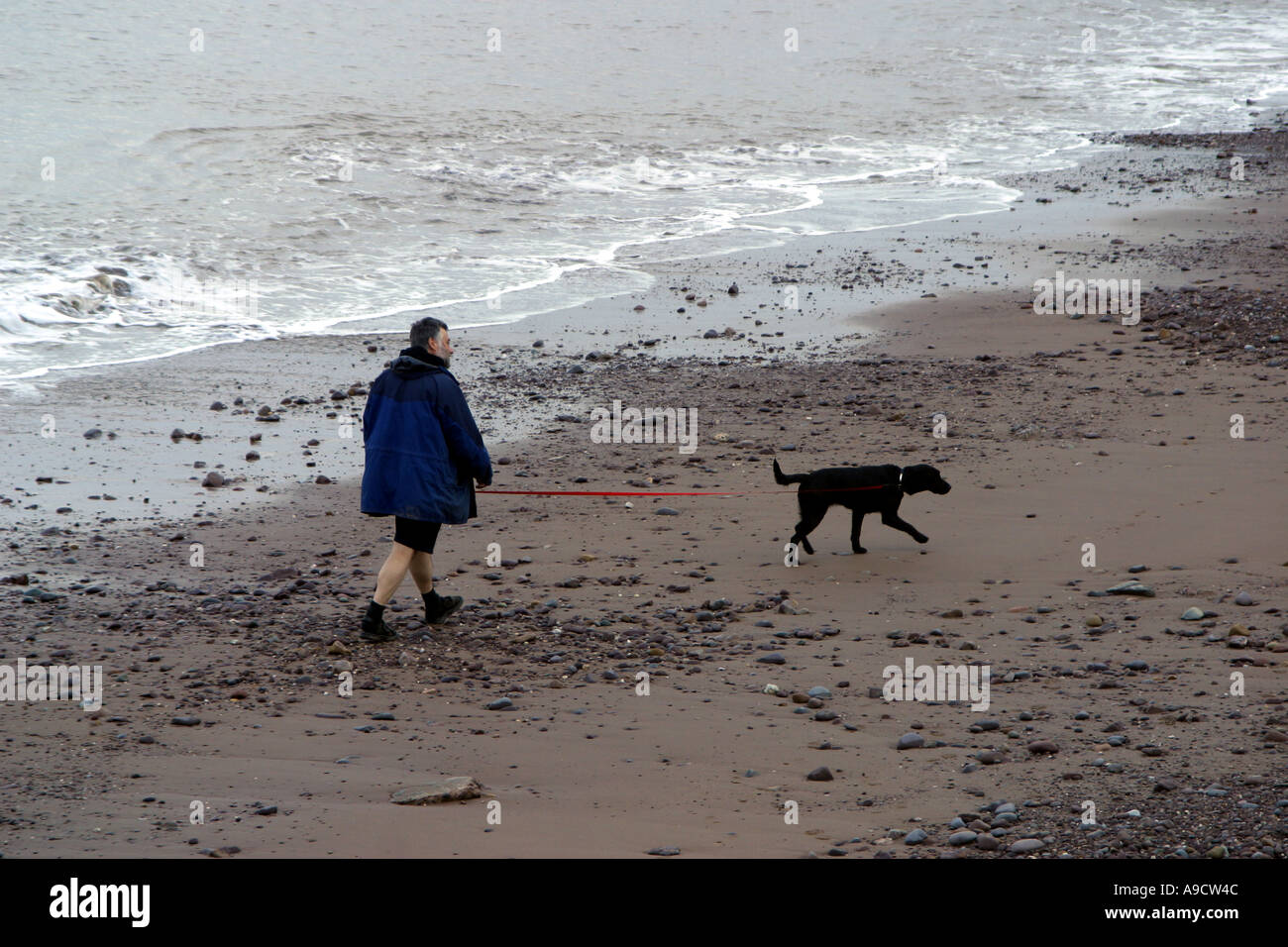 MAN WALKING DOG ON BEACH BLUE ANCHOR ANGLETERRE SOMERSET Banque D'Images