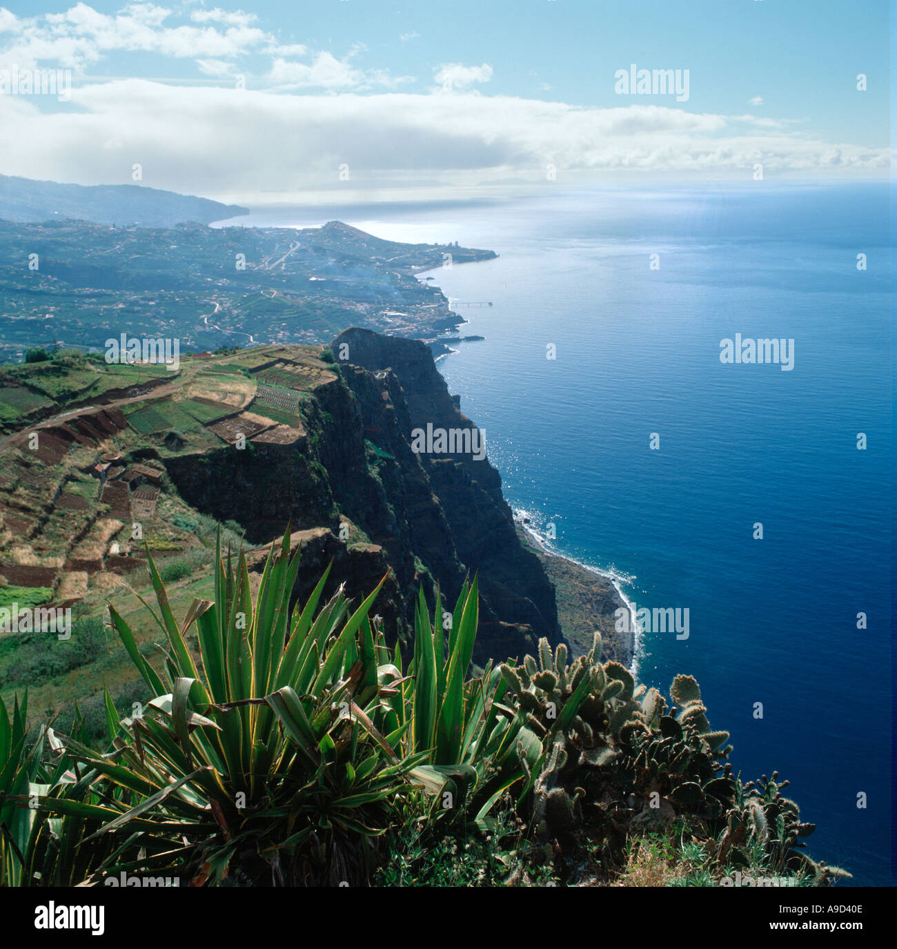 Vue vers la ville de Funchal à partir de la falaise de Cabo Girao, Madeira, Portugal Banque D'Images