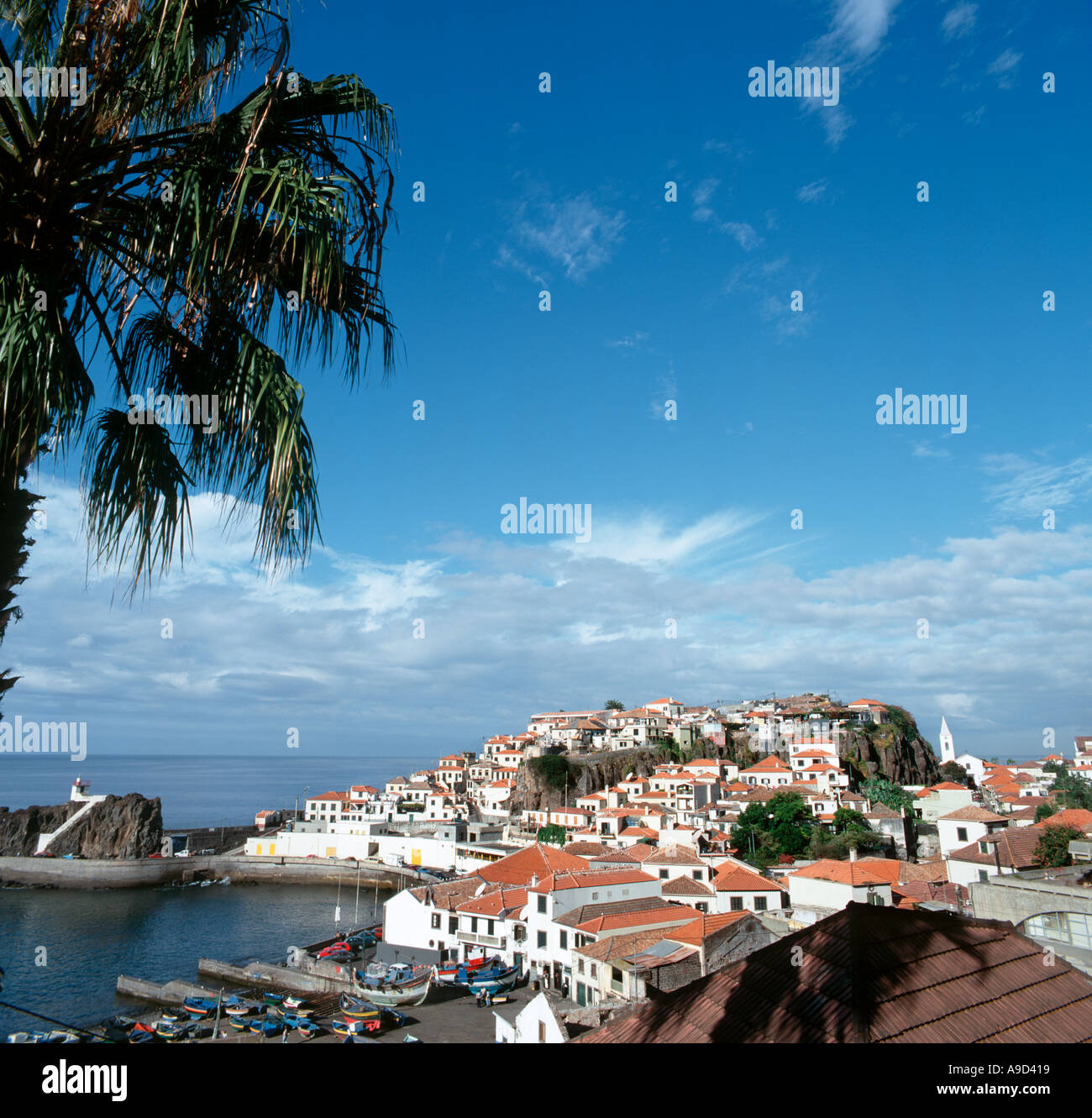 La côte sud, village de pêcheurs de Camara de Lobos (où Winston Churchill utilisé pour la peinture), Madeira, Portugal Banque D'Images