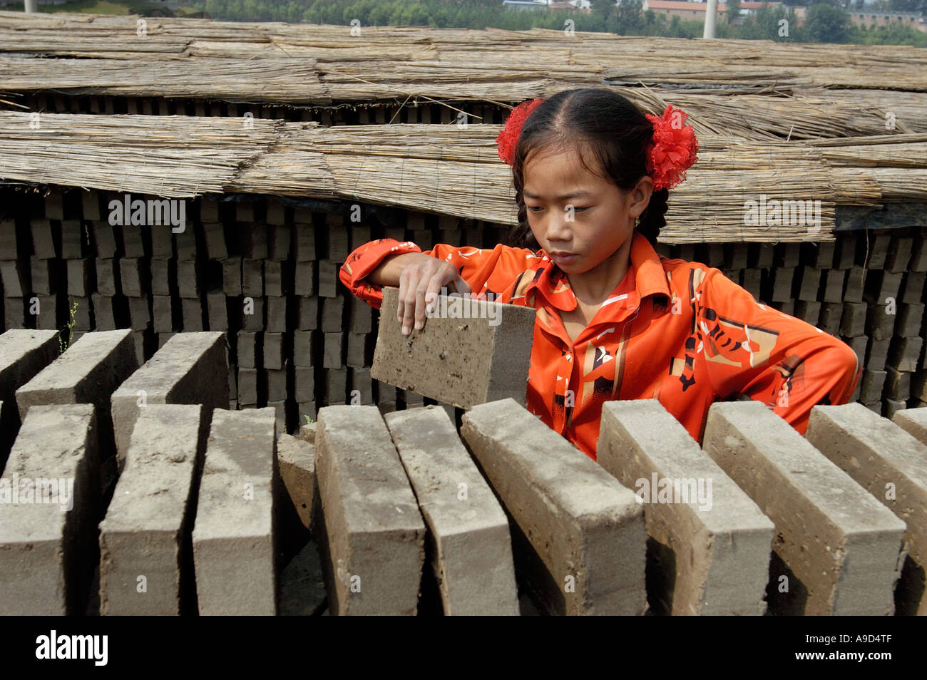 Une fille travaille dans un brickkiln dans la province de Hebei Bazhou Chine 04-Sep-2004 Banque D'Images