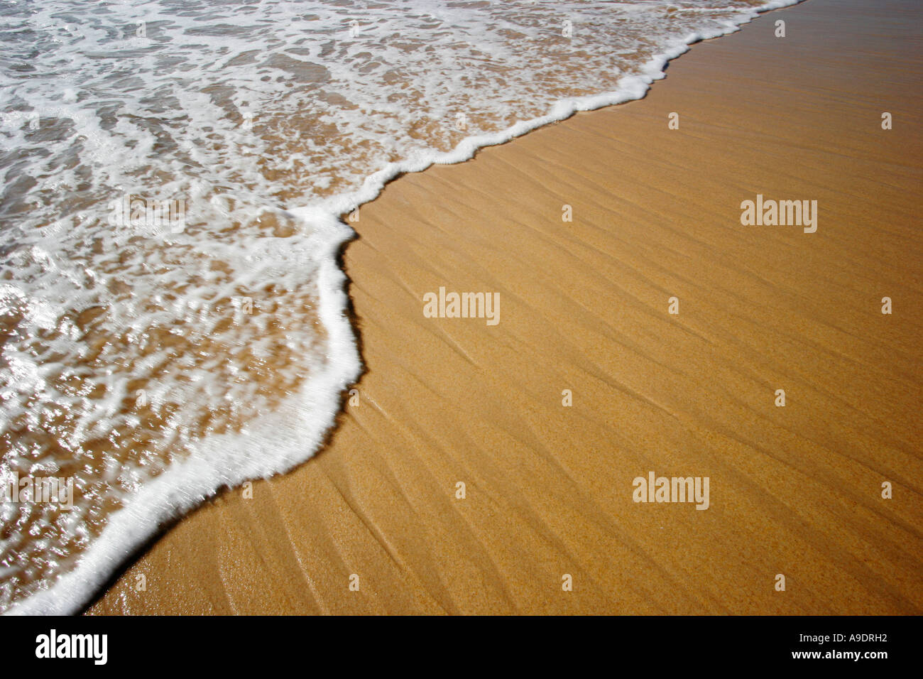 La marée de l'océan ou de l'onde pour une plage de sable Banque D'Images