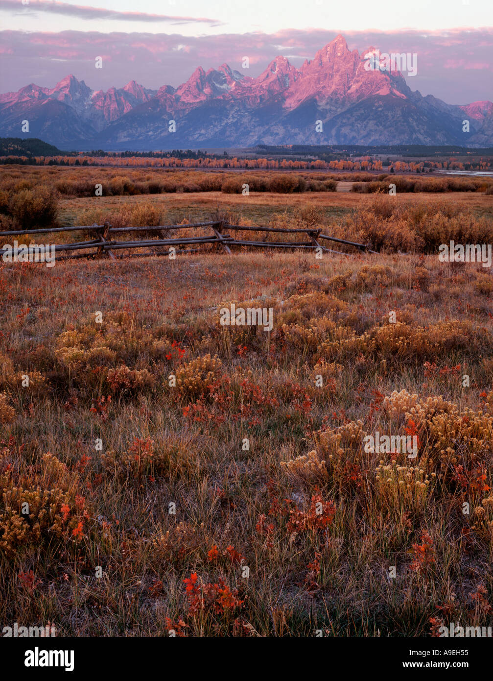 Lever de Soleil sur le Grand Tetons à partir d'une prairie près de Cunningham Cabin dans la Snake River valley Grand Teton National Park WY Banque D'Images