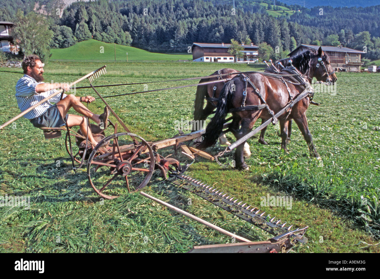 L'Allemand du sud Coldblood chevaux (Equus caballus) une équipe de deux tirant une machine de coupe avec l'agriculteur Hubert Kirchmair, Tirol Banque D'Images