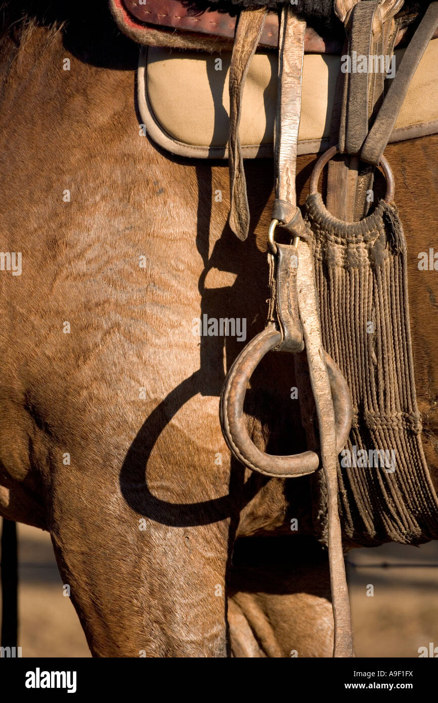Selle Argentine Gaucho Pampa En Cuir + Bride Morsure - Artisanat Traditionnel