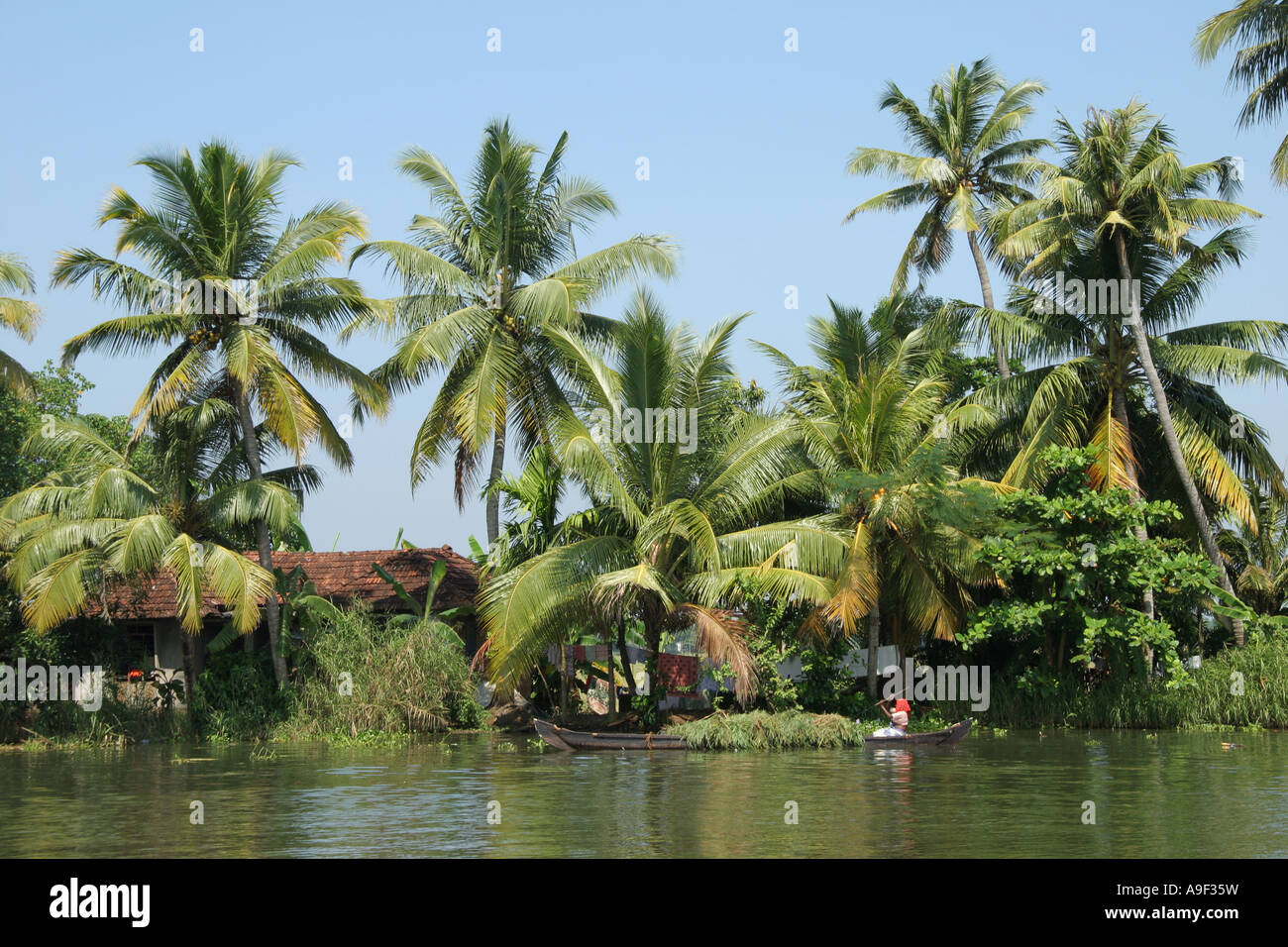 Les villageois mener leur vie quotidienne dans les Backwaters près de Alappuzha (Alleppey), Kerala, Inde du Sud Banque D'Images