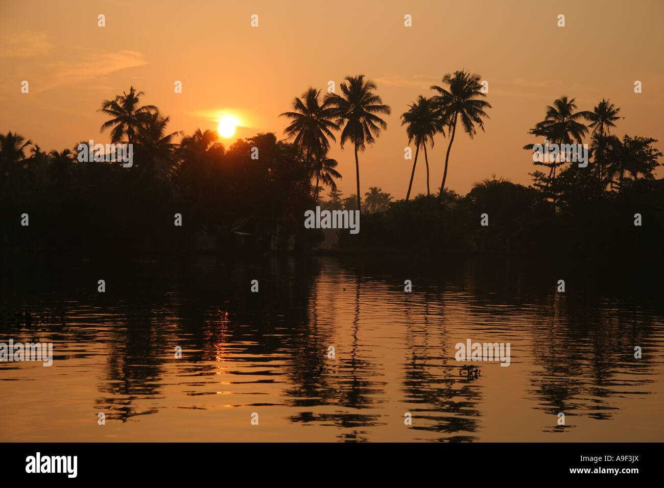 Golden sunset over Vembanad Lake dans les Backwaters près de Alappuzha (Alleppey), Kerala, Inde du Sud Banque D'Images