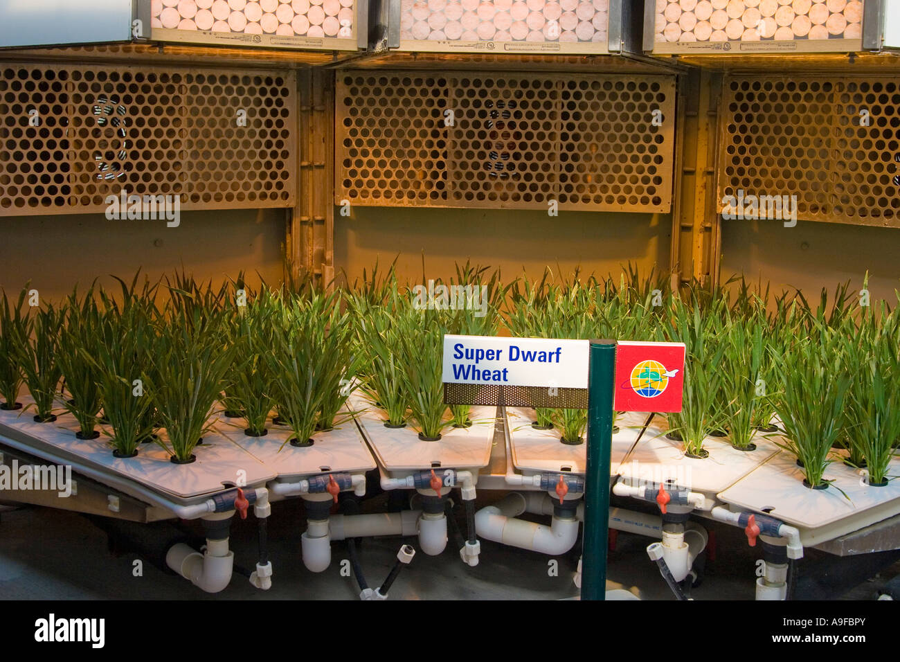 Cultures expérimentales de la NASA au Disney's Epcot Center Banque D'Images