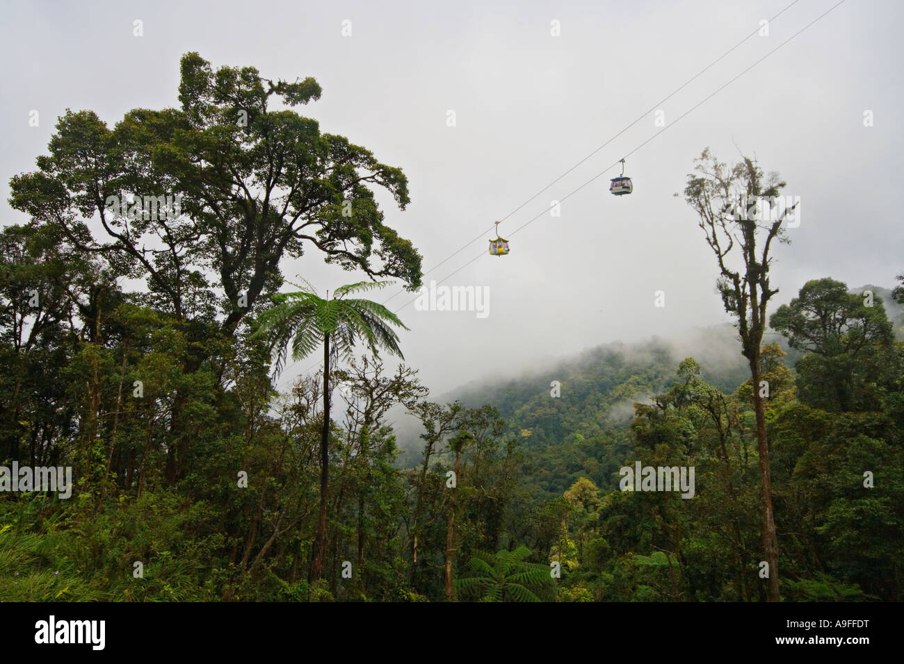 Skyway cable cars dans la brume à Genting Highlands Malaisie Banque D'Images