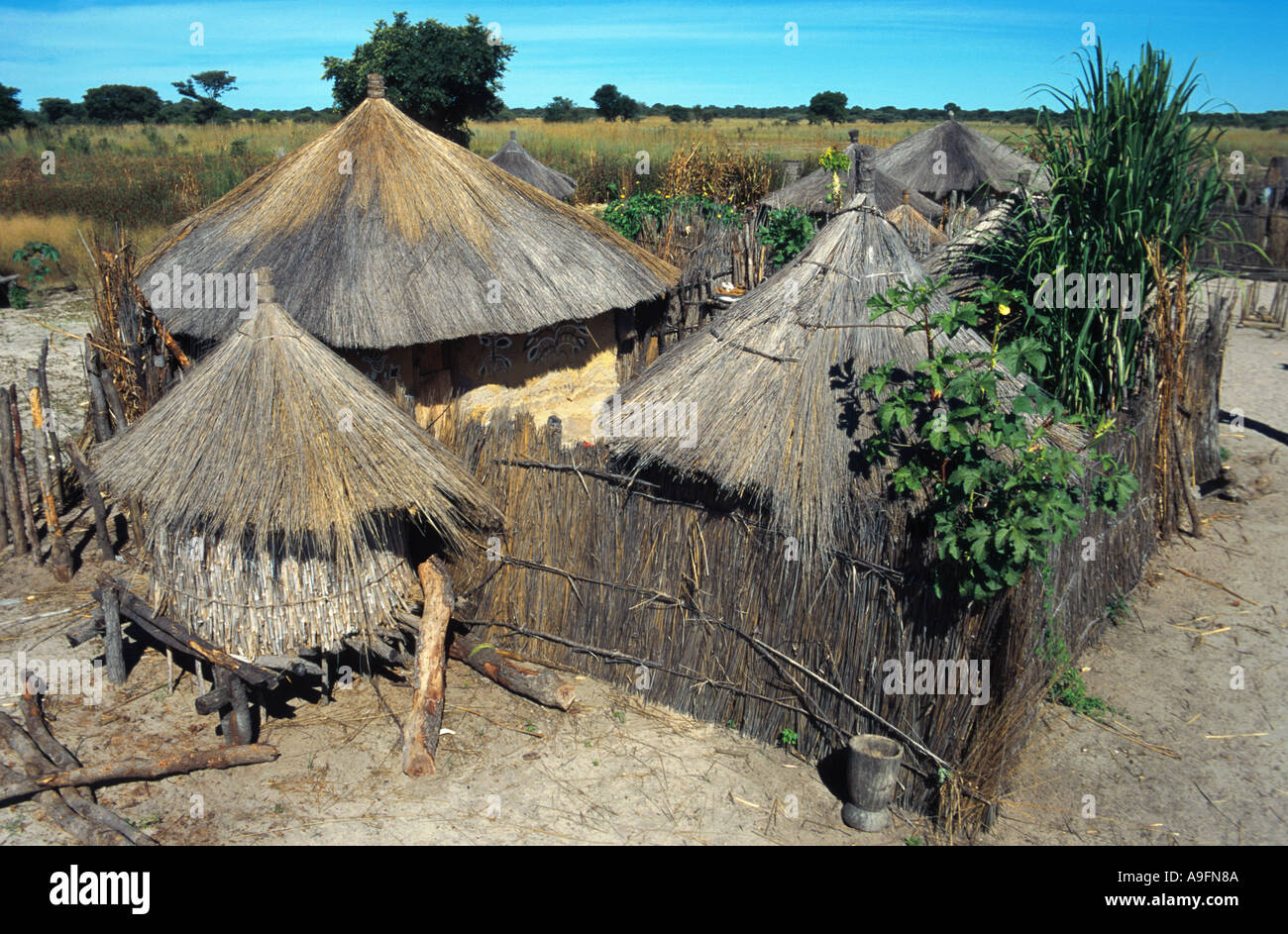 Bushman, les autochtones, les logements, l'Afrique, la Namibie, la région de Caprivi, Mai 97. Banque D'Images