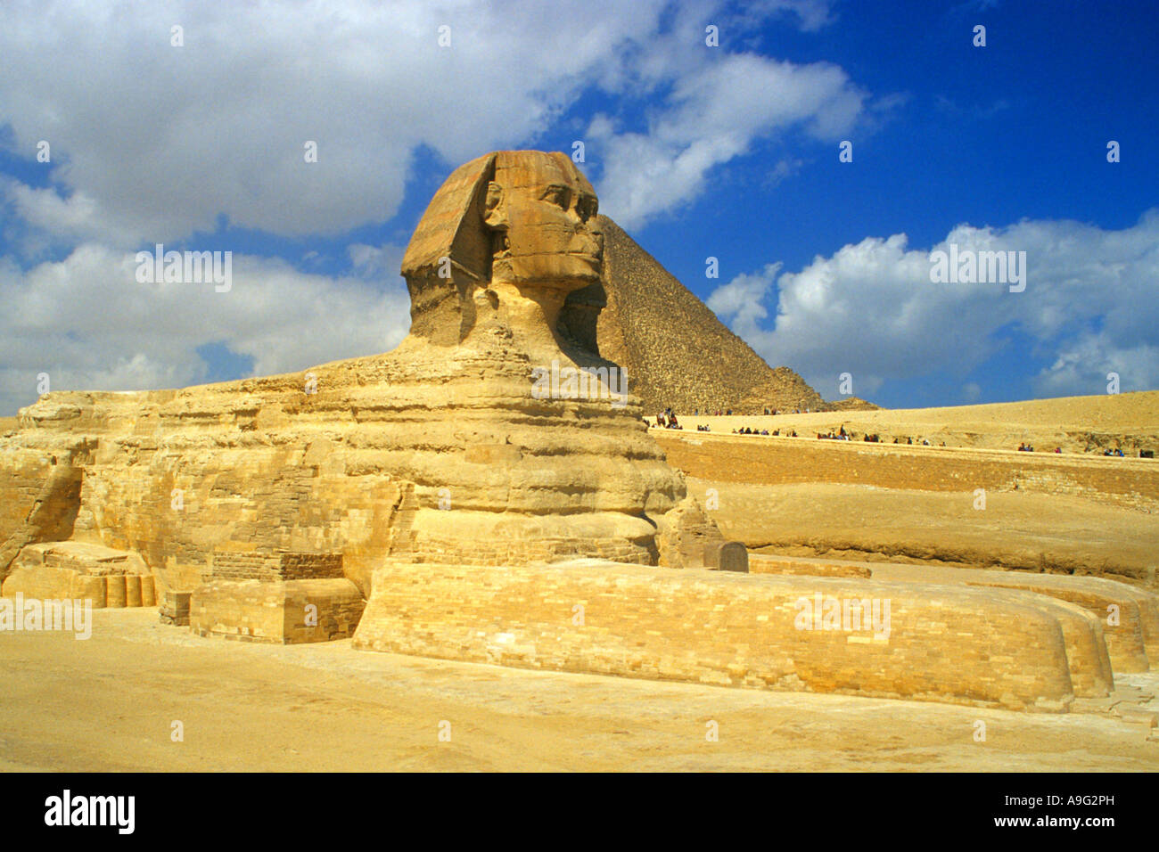 Grand Sphinx de Gizeh, Egypte, Le Caire Banque D'Images