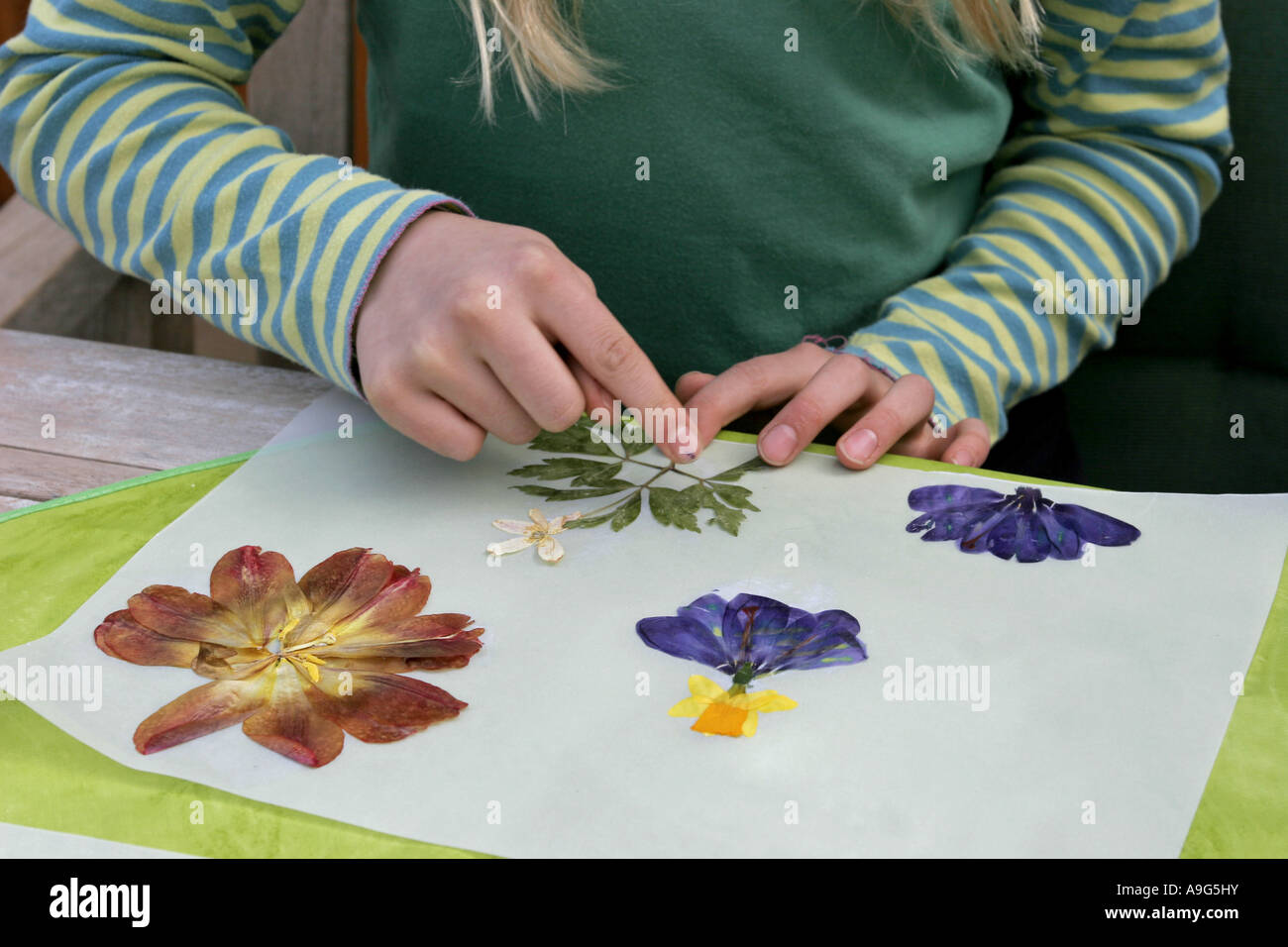 Enfant faisant blossom photo artisanat Banque D'Images