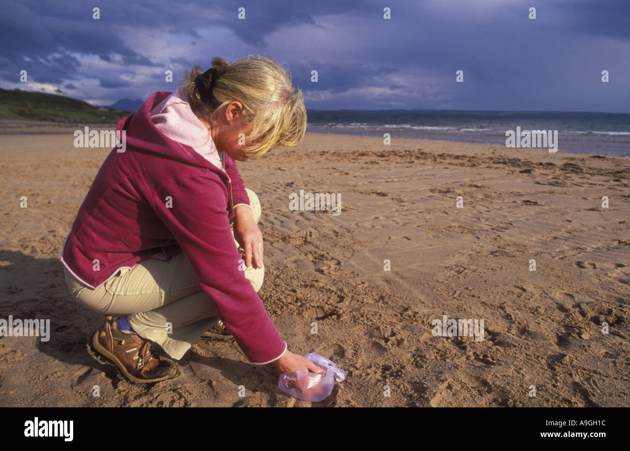 Femme ramasser les excréments de chien de plage, Royaume-Uni, Ecosse, Wester Ross Banque D'Images