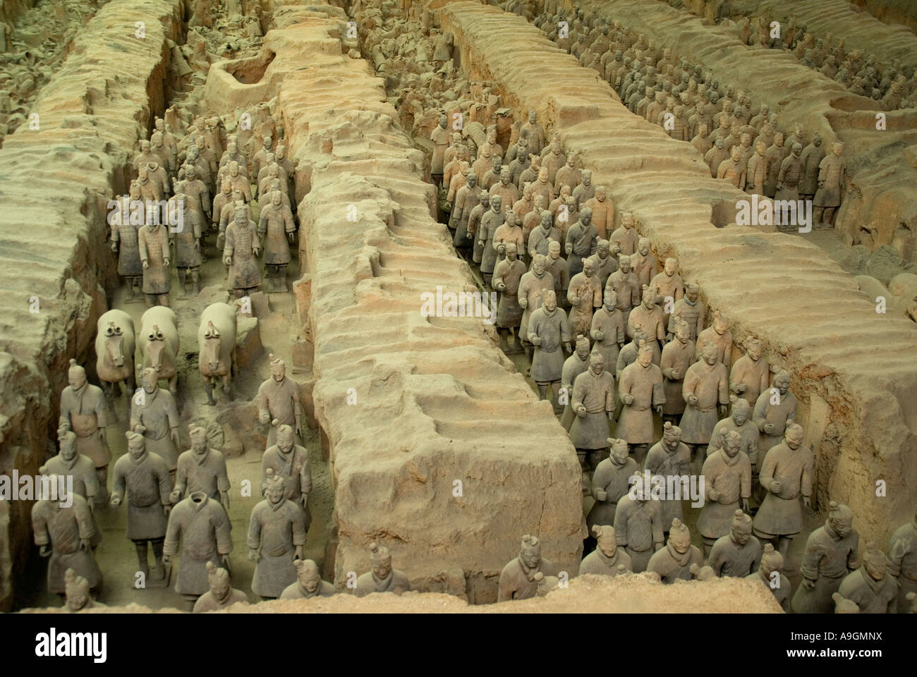 L'Armée de terre cuite de Xian Qin Shihuangdi en fosse Musée numéro 1 Banque D'Images