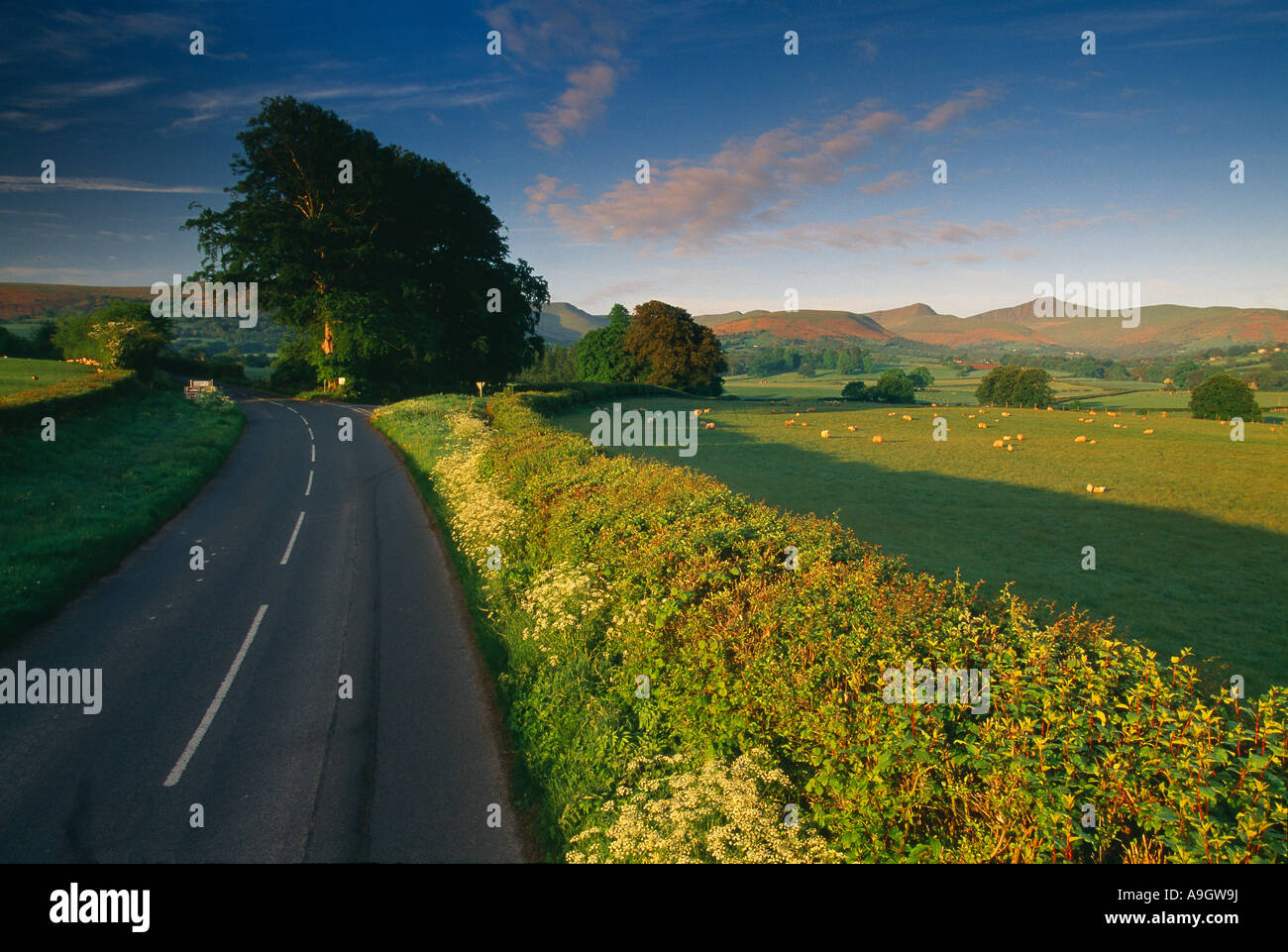 Country road nr Llanfrynach Powys Pays de Galles Brecon Beacons UK Banque D'Images