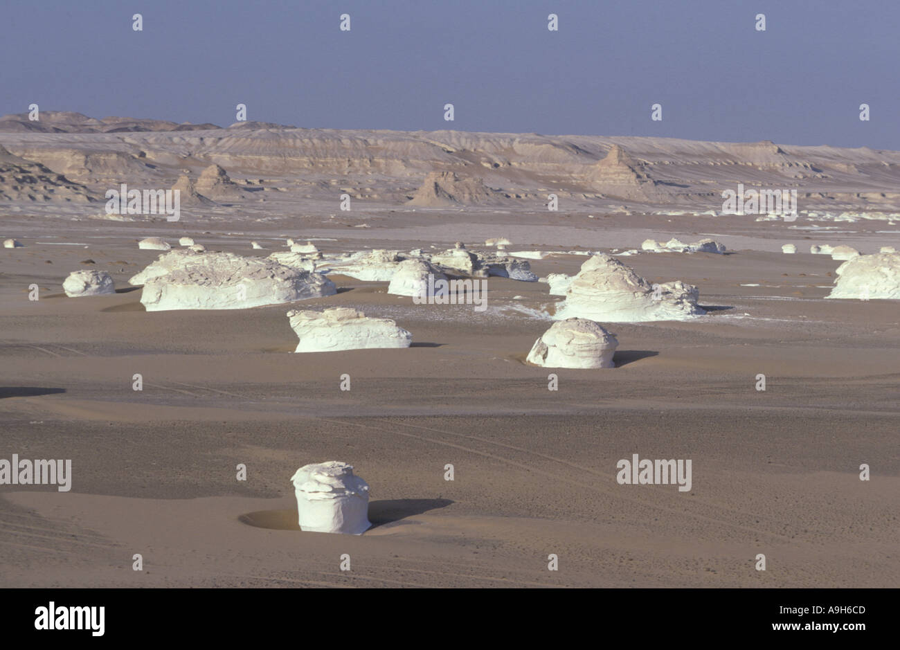 Désert de pierres à chaux Grande Mer de Sable Egypte Sahara Banque D'Images