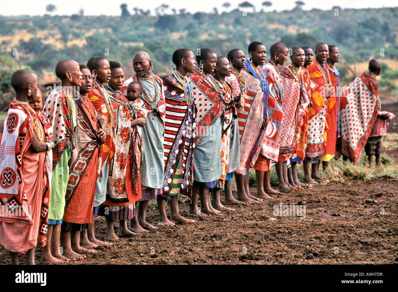 Les femmes masaï effectuer un traditionel Bienvenue aux touristes se rendant sur leur village manyatta dans le Masai Mara au Kenya. Banque D'Images