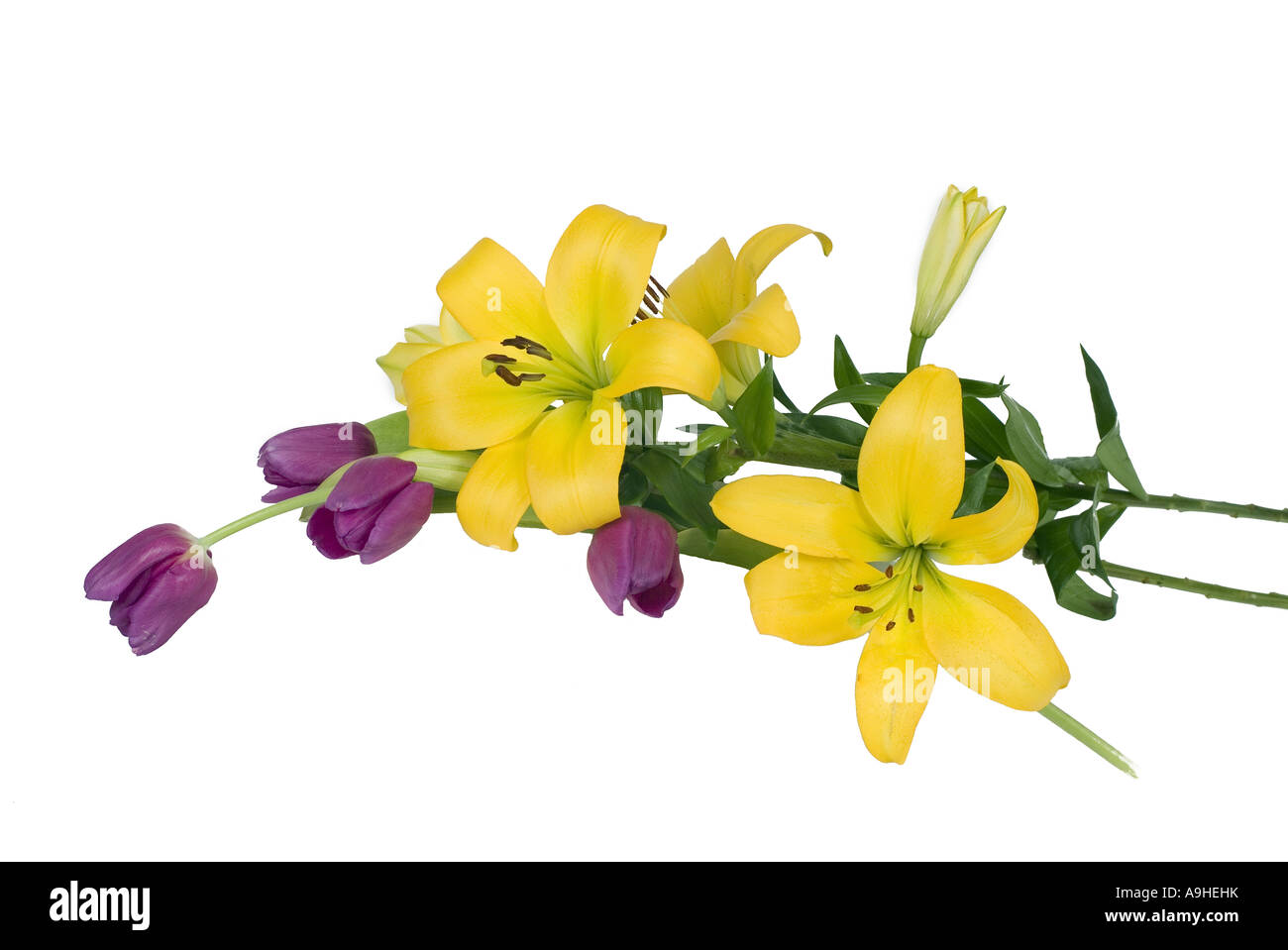 Lillies et tulipes jaune Banque D'Images