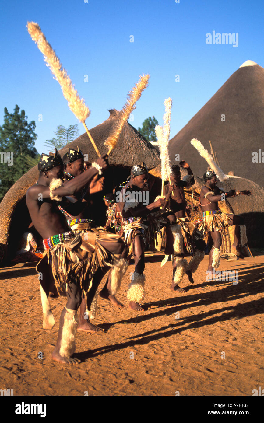 Afrique du Sud KwaZulu Natal Zulu guerriers dansant au Centre culturel Esicabazini Zulu Banque D'Images