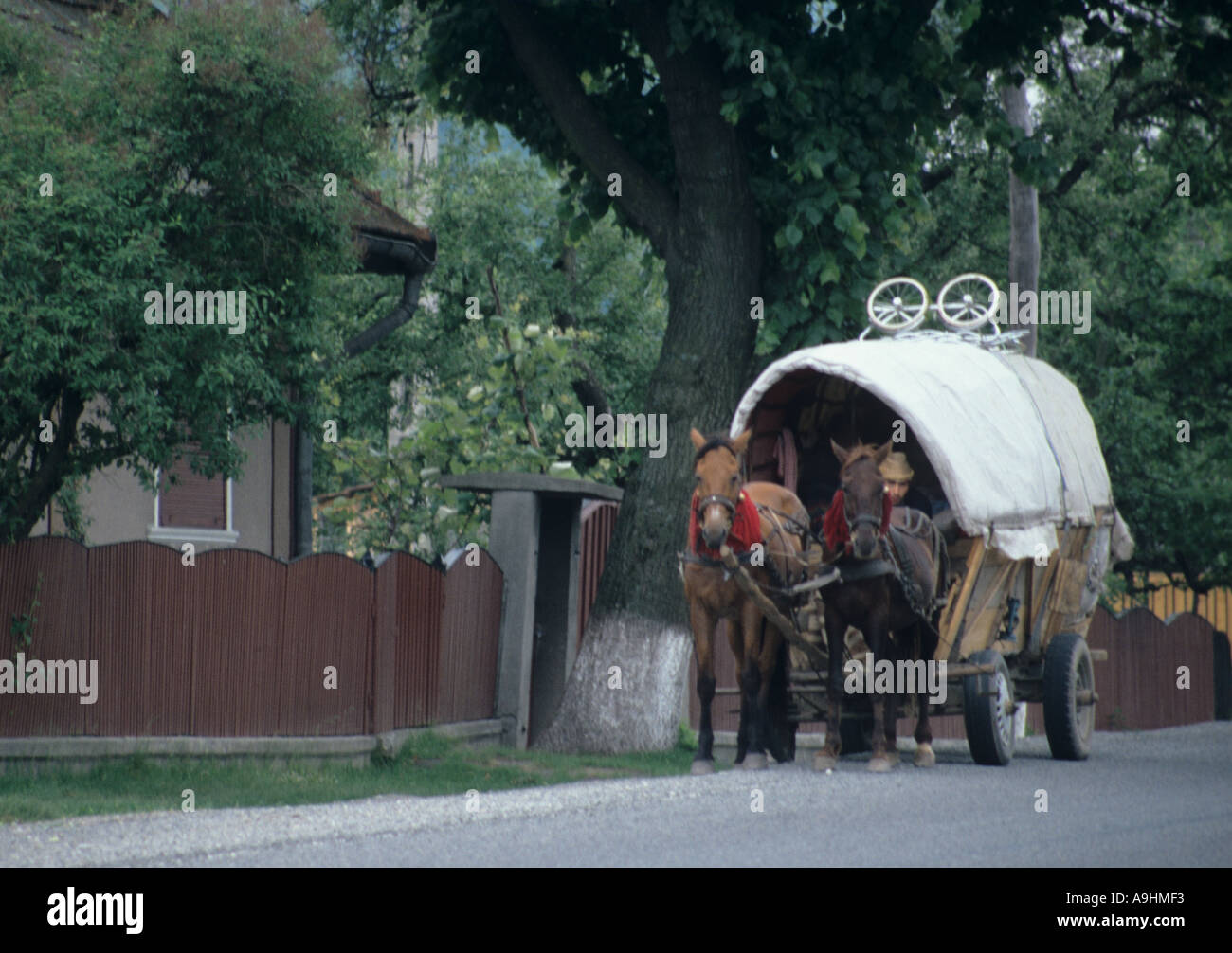 Roulotte en Transylvanie, Roumanie Banque D'Images