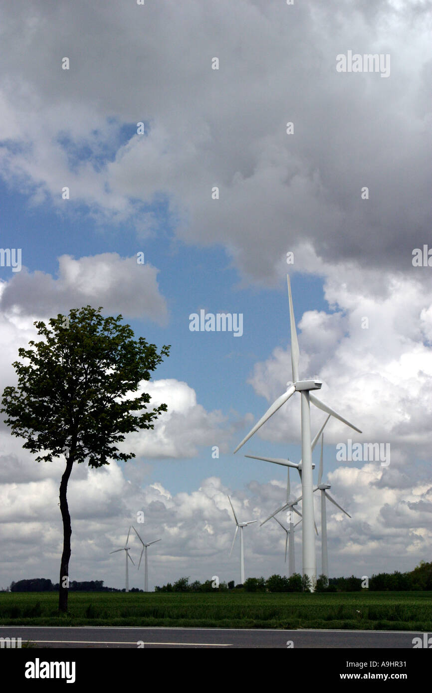 Plusieurs des éoliennes dans le Haut Lys wind farm près de Fauquembergues Pas de Calais Banque D'Images