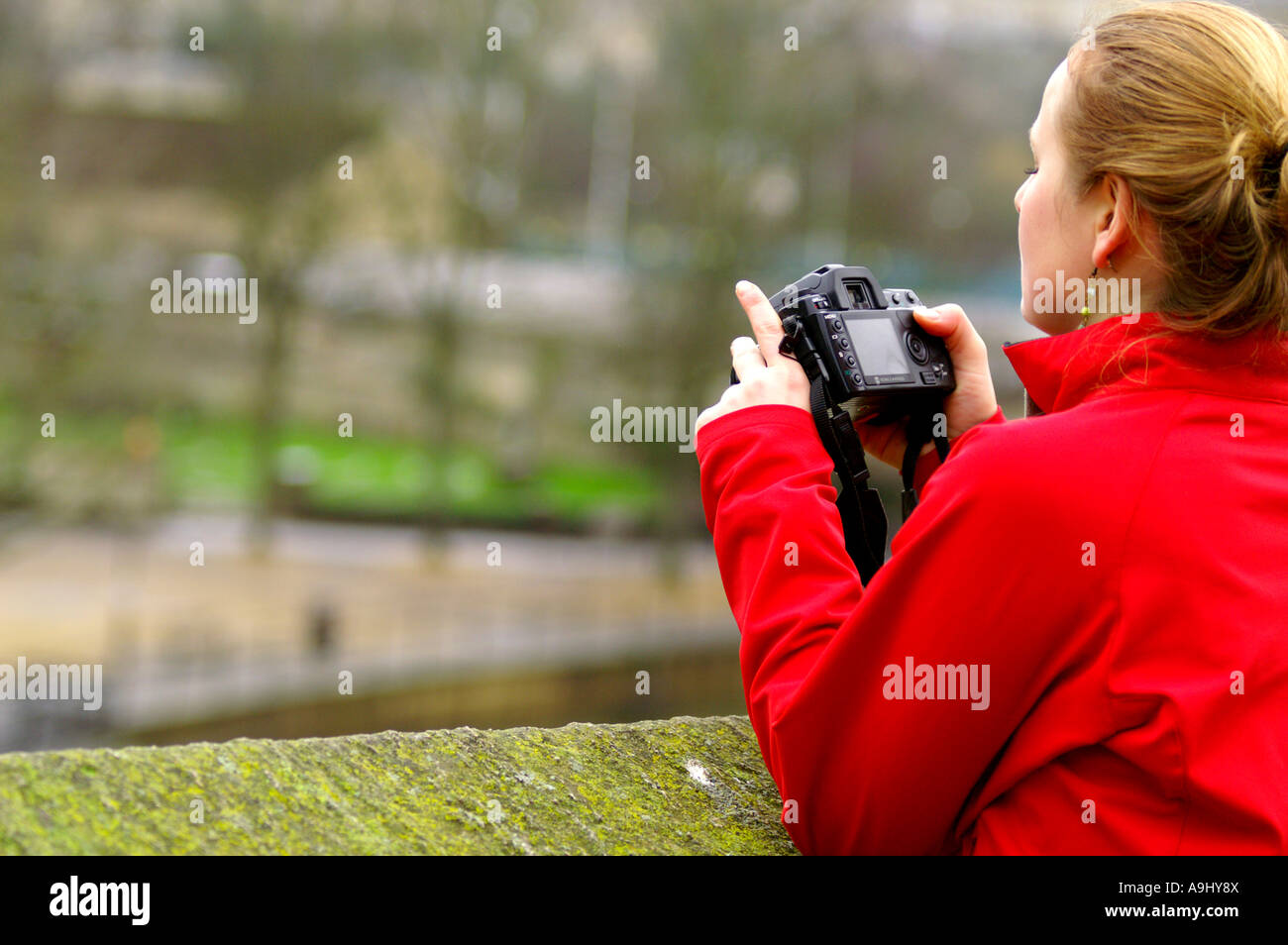 Photographe à la recherche de photos sur son appareil photo Banque D'Images