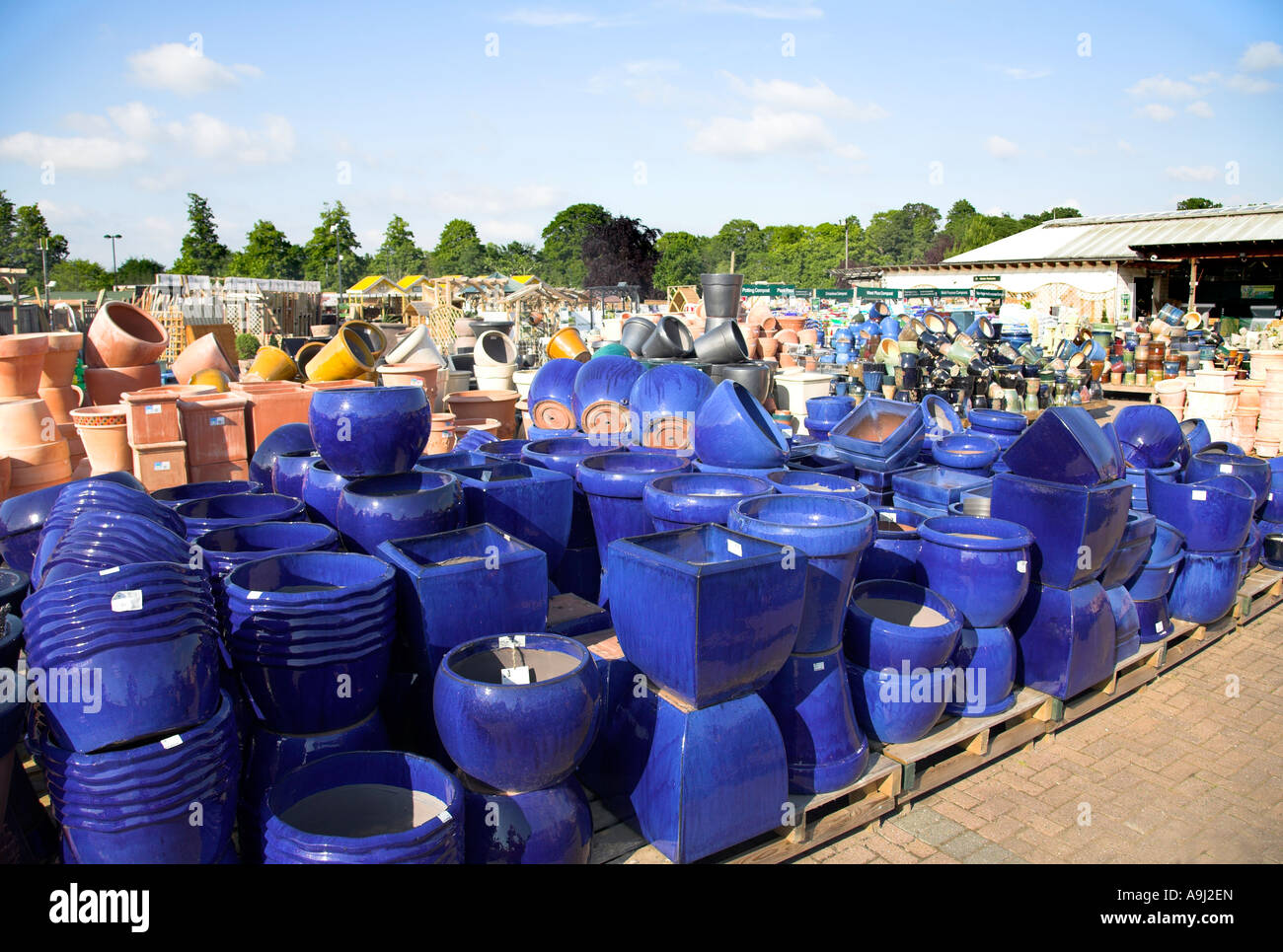 Pots de fleurs bleu à vendre dans un centre jardin. Banque D'Images