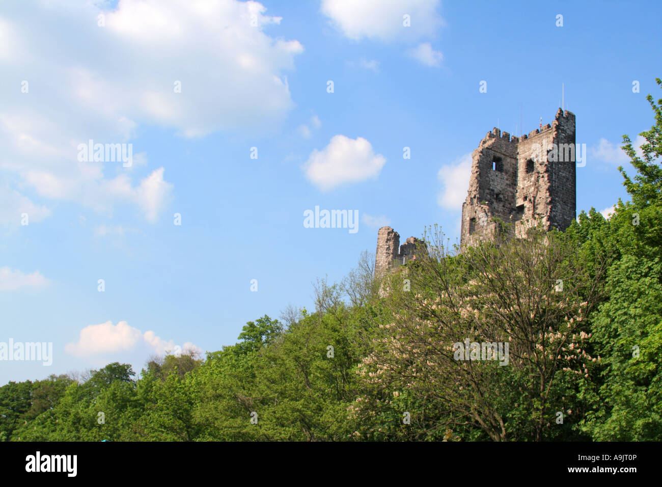 Burg Drachenfels Crag ruines et château haut au-dessus de la rivière du Rhin Königswinter en Rhénanie du Nord-Westphalie Allemagne Europe Banque D'Images