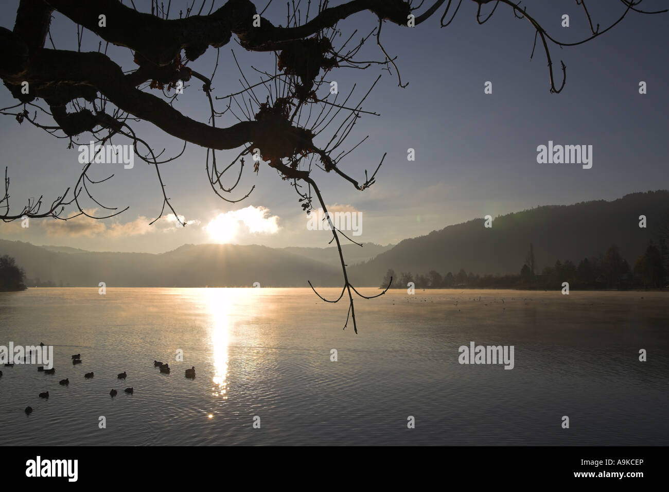 Lever du soleil au-dessus du lac Aegeri, Suisse, Canton de Zug Banque D'Images