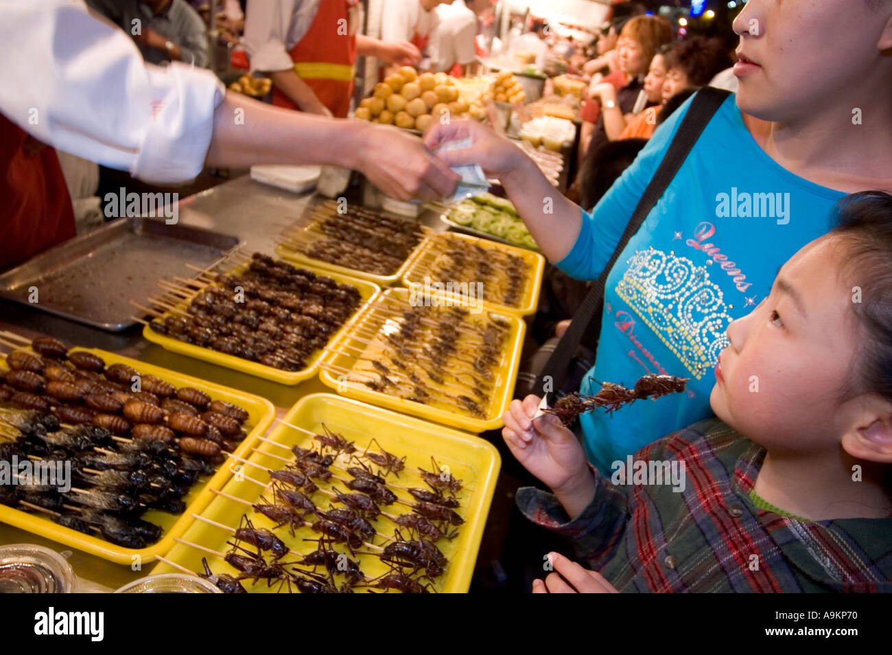 Cigales les sauterelles et autres insectes sur une brochette À DONGHAUMEN MARCHÉ NUIT À BEIJING CHINE Banque D'Images