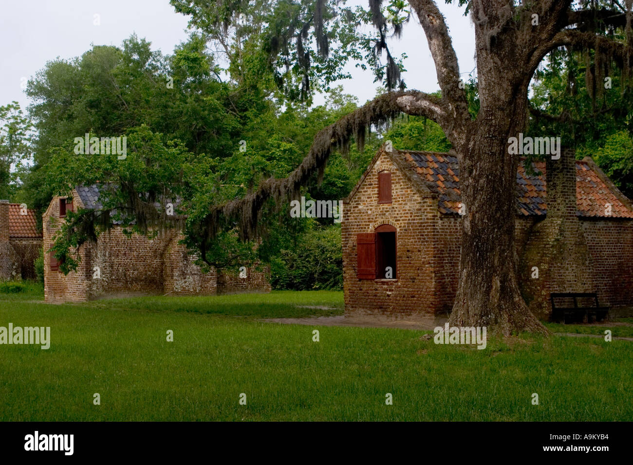 Boone Hall Plantation Banque D'Images