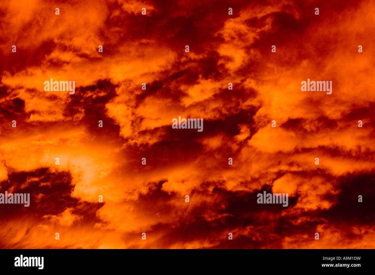 Nuages au coucher du soleil avec une couleur intense Banque D'Images