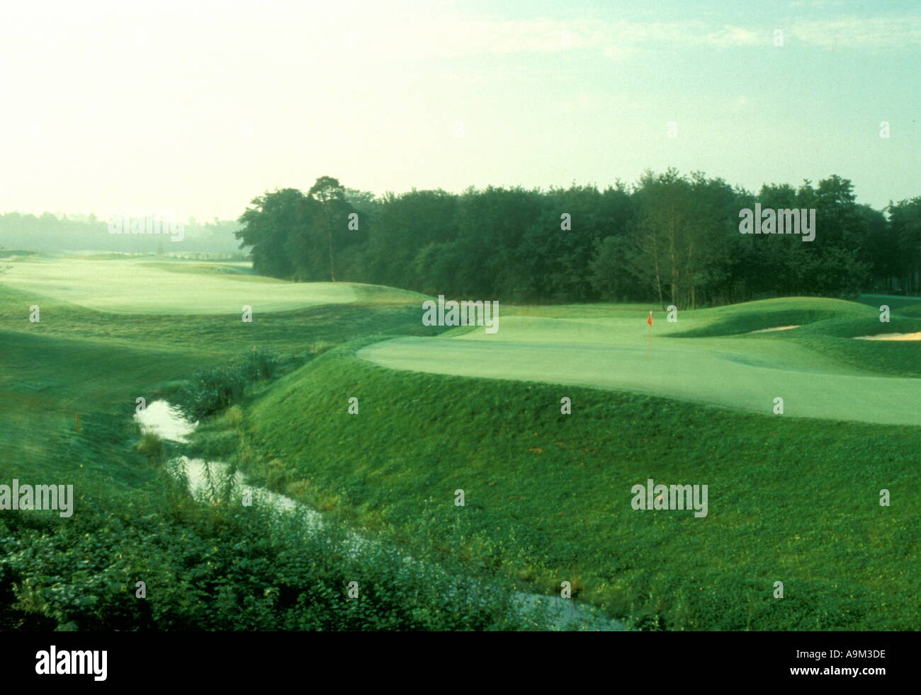 Le Club de Golf de Wisley Woking Surrey Angleterre 1er trou UK Banque D'Images