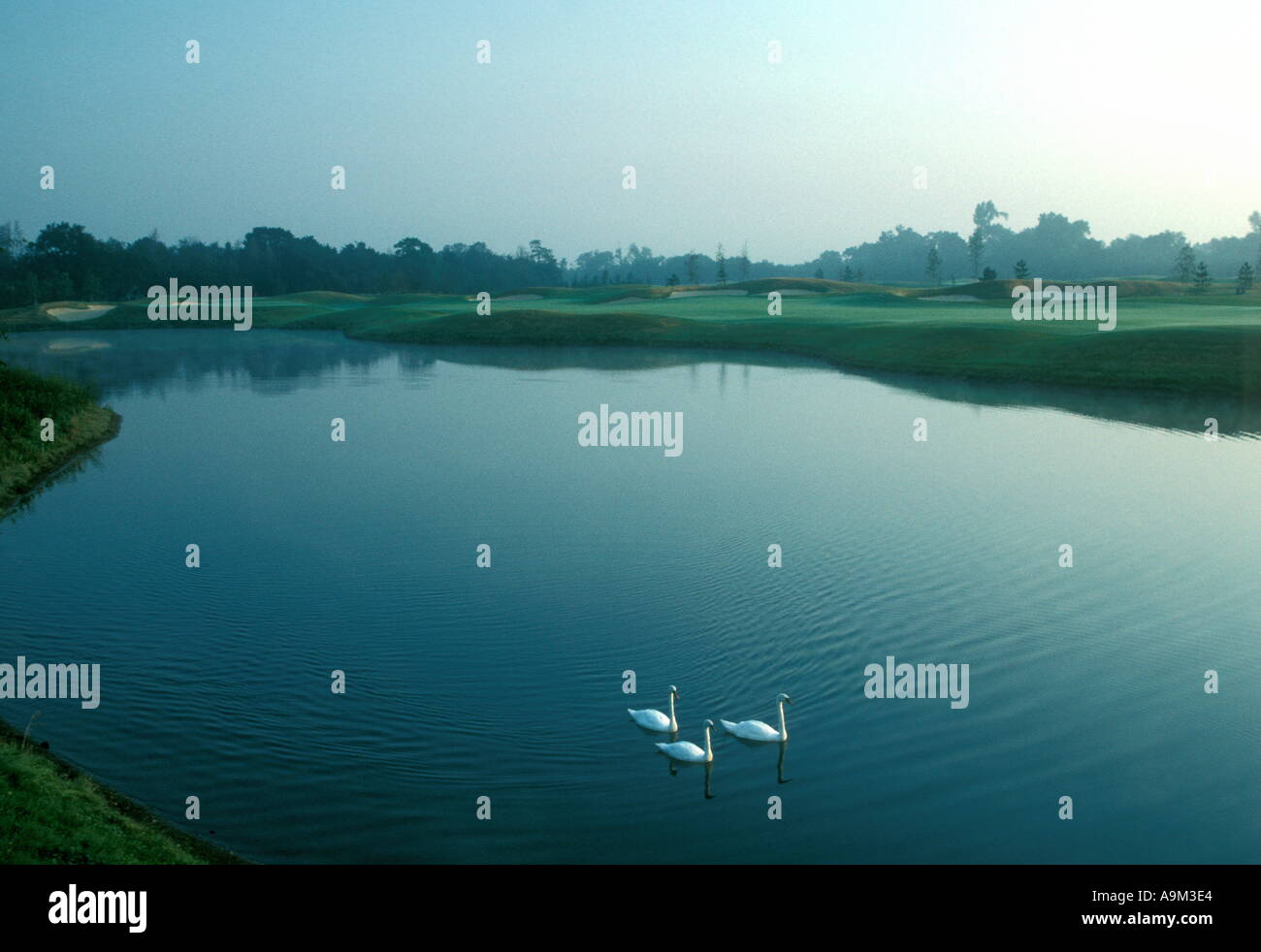 Le Club de Golf de Wisley Woking Surrey England UK trou 9 Banque D'Images