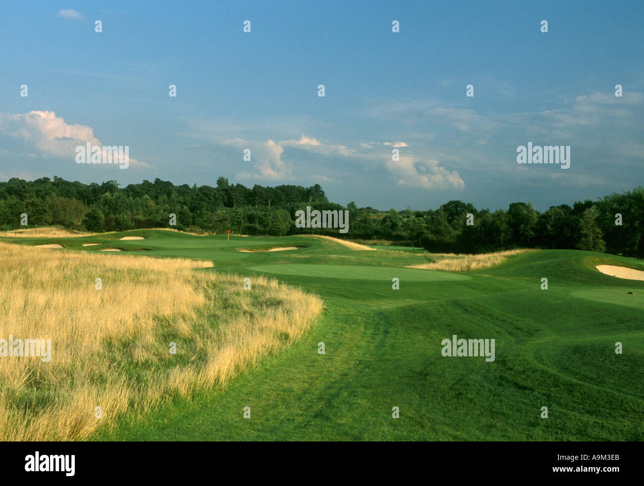 Le Club de Golf de Wisley Woking Surrey Angleterre 5ème trou UK Banque D'Images