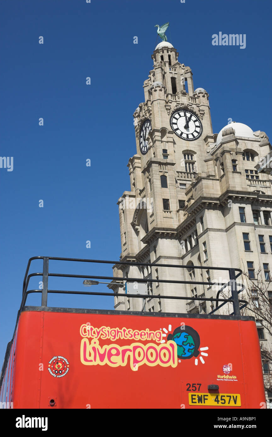 Wirral et Liverpool ville rouge tour bus au Liver Building près de l'Albert Dock Liverpool Merseyside England UK GB EU Europe Banque D'Images